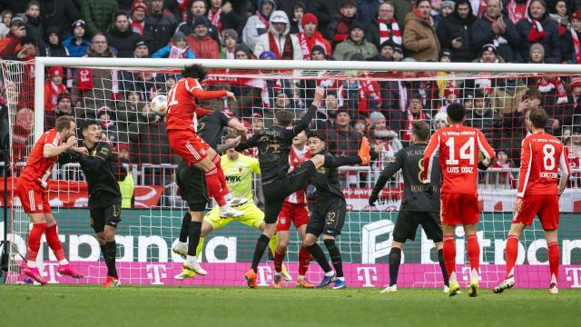 1769333826842034615.jpg
